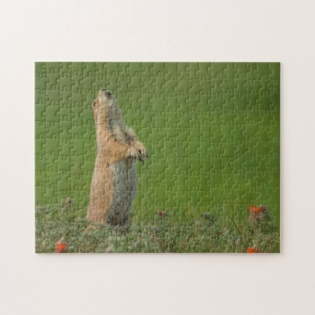 USA, South Dakota, Custer State Park Pussel (Horisontell)