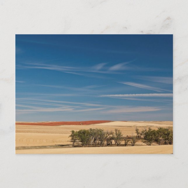 USA, South Dakota, Murdo, Prairie Landscape Vykort (Framsida)