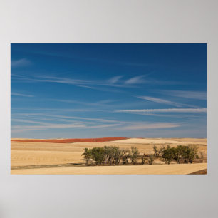 USA, South Dakota, Murdo, prärielandskap Poster