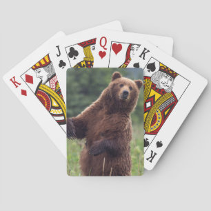 USA, Southeast Alaska, brun björn och unge Casinokort