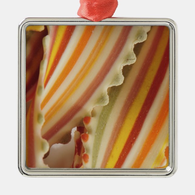  USA. Stängning av torkade regnbågspassageler. Julgransprydnad Metall (Framsidan)