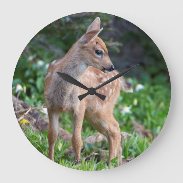 USA stat Washington. Blacktail hjort lismar Stor Klocka (Framsida)