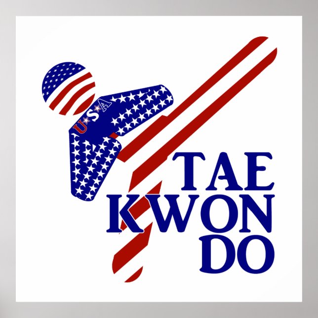 USA Taekwondo Kick (1) Poster (Framsidan)