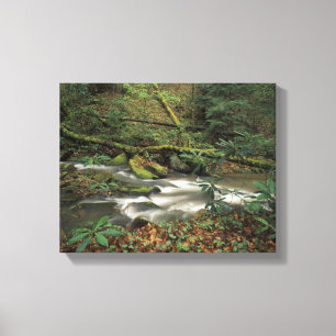 USA, Tennessee. Big South Fork National River Canvastryck