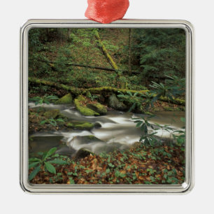 USA, Tennessee. Big South Fork National River Julgransprydnad Metall