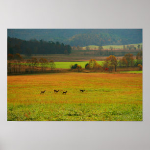 USA, Tennessee. Cades Cove i Smoky Mountain 2 Poster