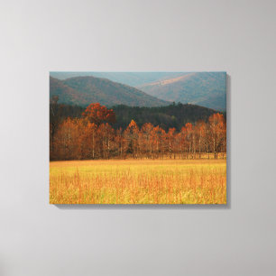 USA, Tennessee. Cades Cove i Smoky Mountain Canvastryck