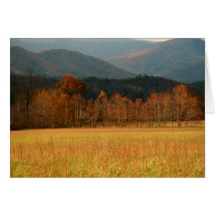 USA, Tennessee. Cades Cove i Smoky Mountain Hälsningskort