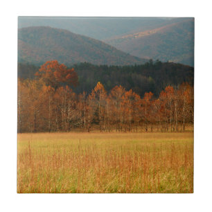 USA, Tennessee. Cades Cove i Smoky Mountain Kakelplatta