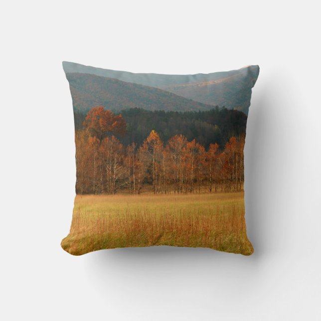 USA, Tennessee. Cades Cove i Smoky Mountain Kudde (Framsida)