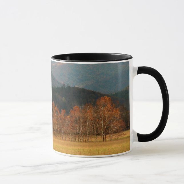 USA, Tennessee. Cades Cove i Smoky Mountain Mugg (Höger)