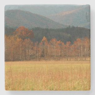 USA, Tennessee. Cades Cove i Smoky Mountain Underlägg Sten