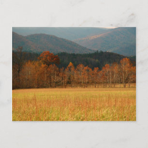 USA, Tennessee. Cades Cove i Smoky Mountain Vykort