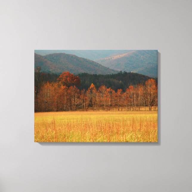 USA, Tennessee. Cades Cove in Smoky Mountain Canvastryck (Framsida)