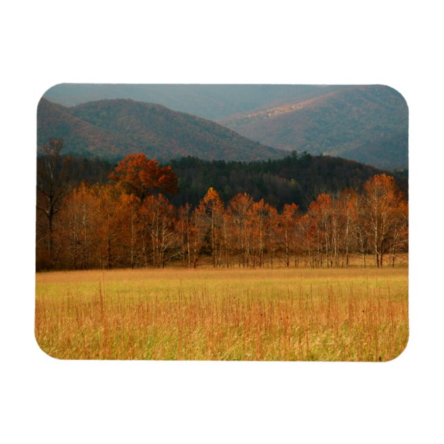 USA, Tennessee. Cades Cove in Smoky Mountain Magnet (Horisontell)