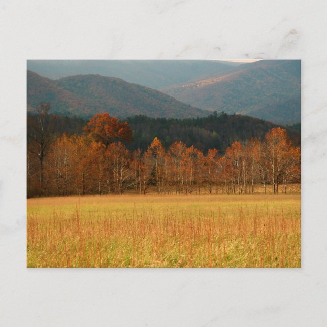USA, Tennessee. Cades Cove in Smoky Mountain Vykort (Framsida)