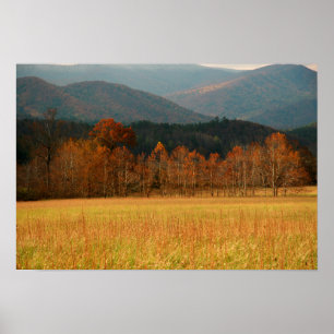 USA, Tennessee. Cades överför i rökigt berg Poster