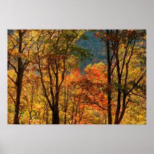 USA, Tennessee. Falllöde Poster
