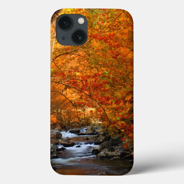 USA, Tennessee. Forsande Mountain Creek 2 (Baksida)
