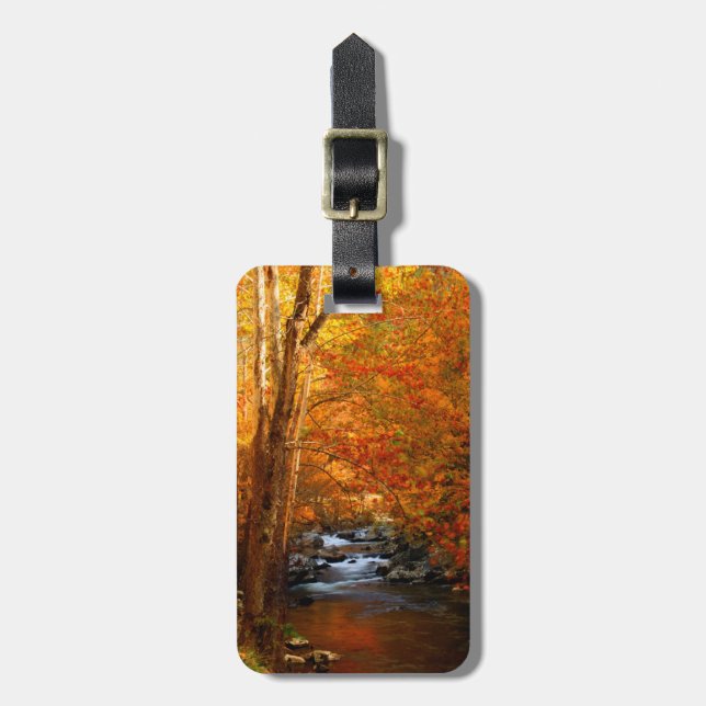 USA, Tennessee. Forsande Mountain Creek 2 Bagagebricka (Vertikal Framsida)