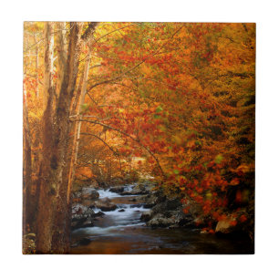 USA, Tennessee. Forsande Mountain Creek 2 Kakelplatta