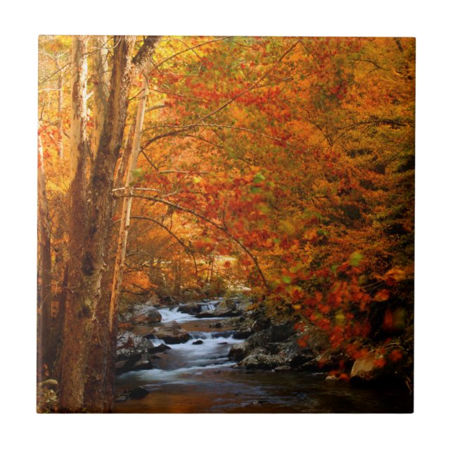 USA, Tennessee. Forsande Mountain Creek 2 Kakelplatta (Framsidan)