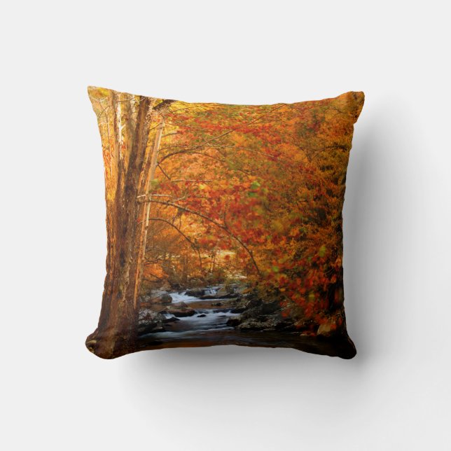 USA, Tennessee. Forsande Mountain Creek 2 Kudde (Framsida)