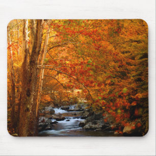 USA, Tennessee. Forsande Mountain Creek 2 Musmatta
