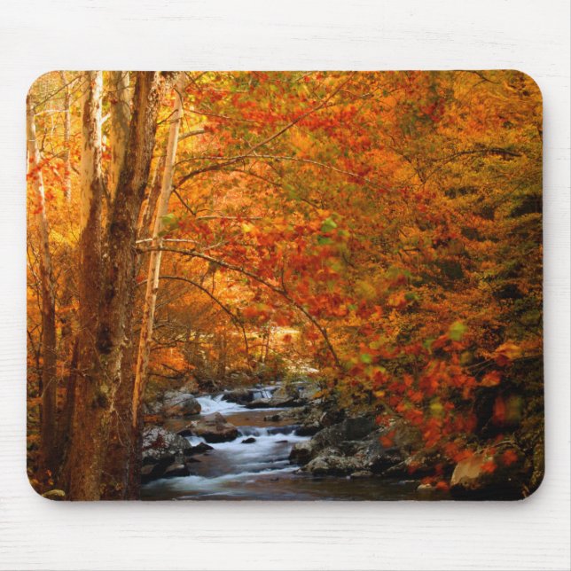 USA, Tennessee. Forsande Mountain Creek 2 Musmatta (Framsidan)