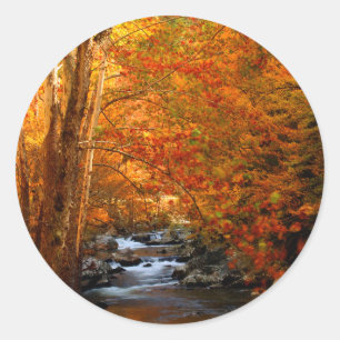 USA, Tennessee. Forsande Mountain Creek 2 Runt Klistermärke
