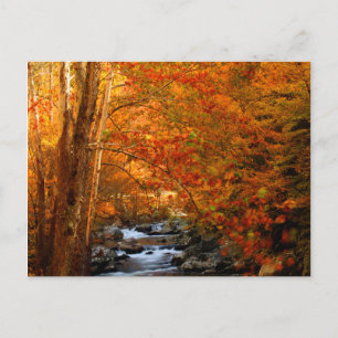 USA, Tennessee. Forsande Mountain Creek 2 Vykort
