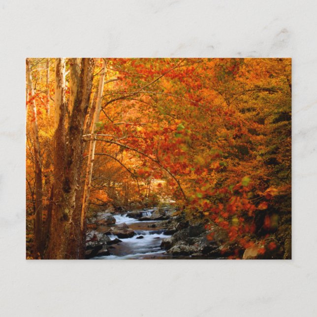 USA, Tennessee. Forsande Mountain Creek 2 Vykort (Framsida)