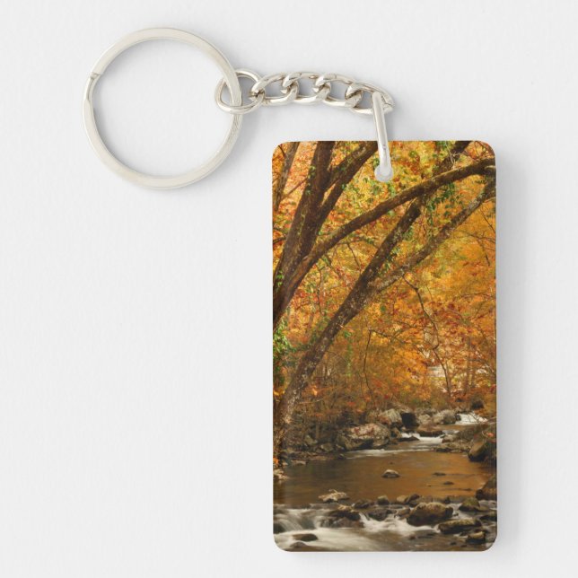 USA, Tennessee. Forsande Mountain Creek 3 (Framsidan)
