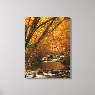 USA, Tennessee. Forsande Mountain Creek 3 Canvastryck
