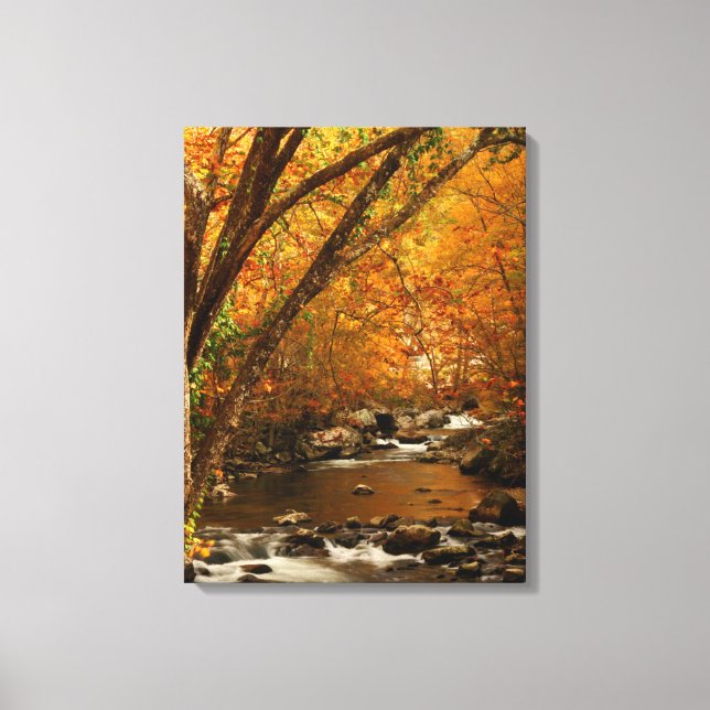 USA, Tennessee. Forsande Mountain Creek 3 Canvastryck (Framsida)