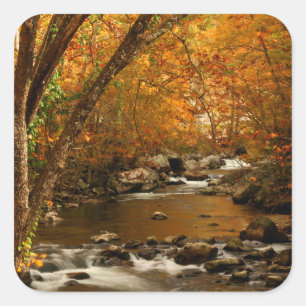 USA, Tennessee. Forsande Mountain Creek 3 Fyrkantigt Klistermärke