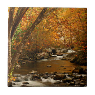 USA, Tennessee. Forsande Mountain Creek 3 Kakelplatta