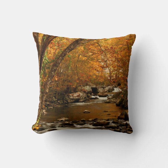 USA, Tennessee. Forsande Mountain Creek 3 Kudde (Framsida)