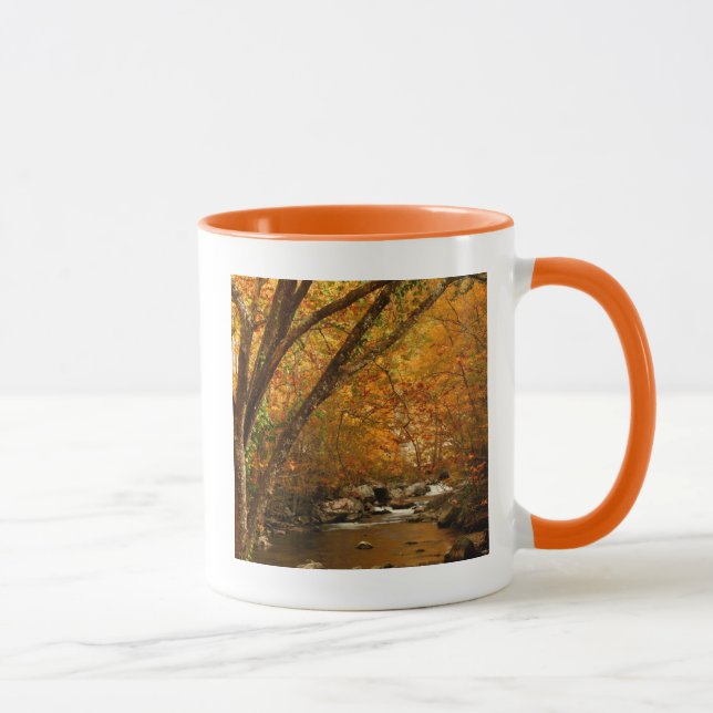 USA, Tennessee. Forsande Mountain Creek 3 Mugg (Höger)