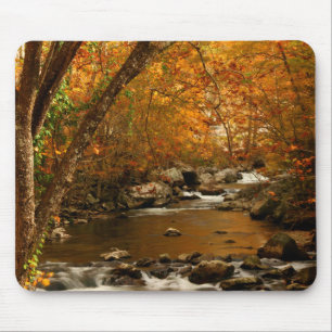 USA, Tennessee. Forsande Mountain Creek 3 Musmatta