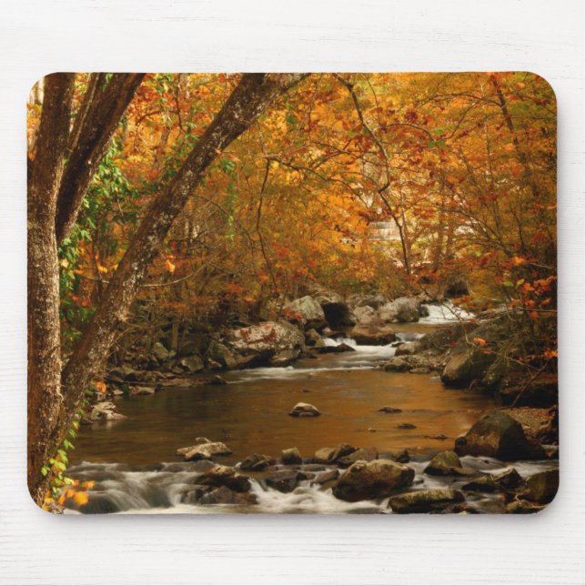 USA, Tennessee. Forsande Mountain Creek 3 Musmatta (Framsidan)
