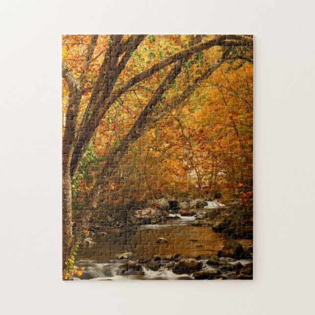 USA, Tennessee. Forsande Mountain Creek 3 Pussel (Vertikal)