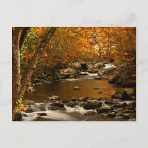 USA, Tennessee. Forsande Mountain Creek 3 Vykort