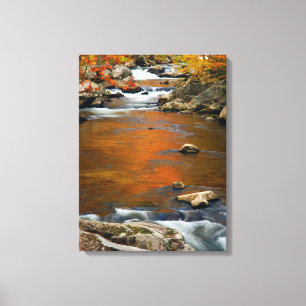USA, Tennessee. Forsande Mountain Creek 4 Canvastryck