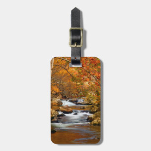 USA, Tennessee. Forsande Mountain Creek Bagagebricka