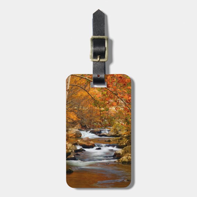 USA, Tennessee. Forsande Mountain Creek Bagagebricka (Vertikal Framsida)