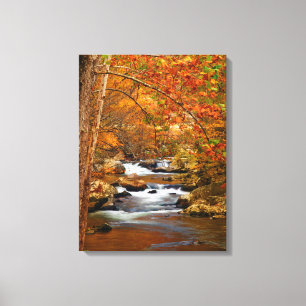 USA, Tennessee. Forsande Mountain Creek Canvastryck