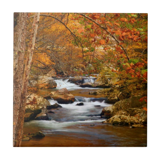 USA, Tennessee. Forsande Mountain Creek Kakelplatta (Framsidan)