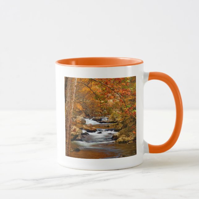 USA, Tennessee. Forsande Mountain Creek Mugg (Höger)