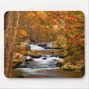 USA, Tennessee. Forsande Mountain Creek Musmatta